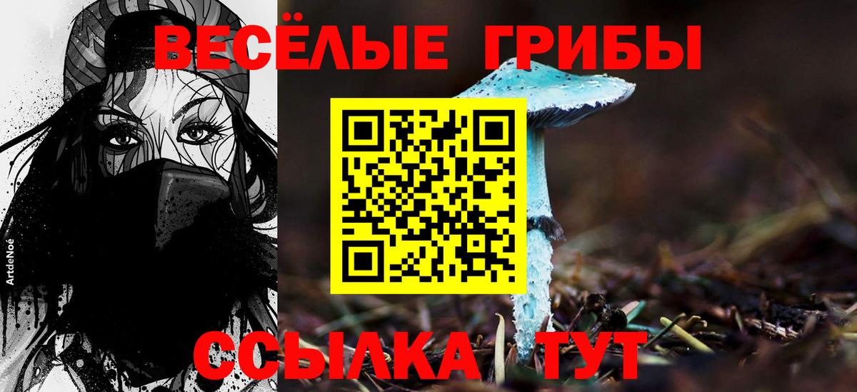 Псилоцибиновые грибы прущие грибы  Вход с VPN  Псилоцибиновые грибы прущие грибы  Обнинск 